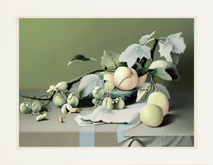 Tuxedo Park Print Shop Porcelain Fruit Still Life Prints