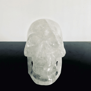 20th Century Rock Crystal Skull - Tuxedo Park Junk Shop