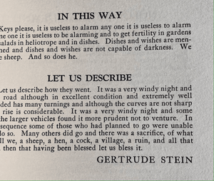 The Little Review Exiles Number Spring 1923 - Tuxedo Park Junk Shop