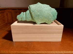 Nakajima Yasumi II Green Animal