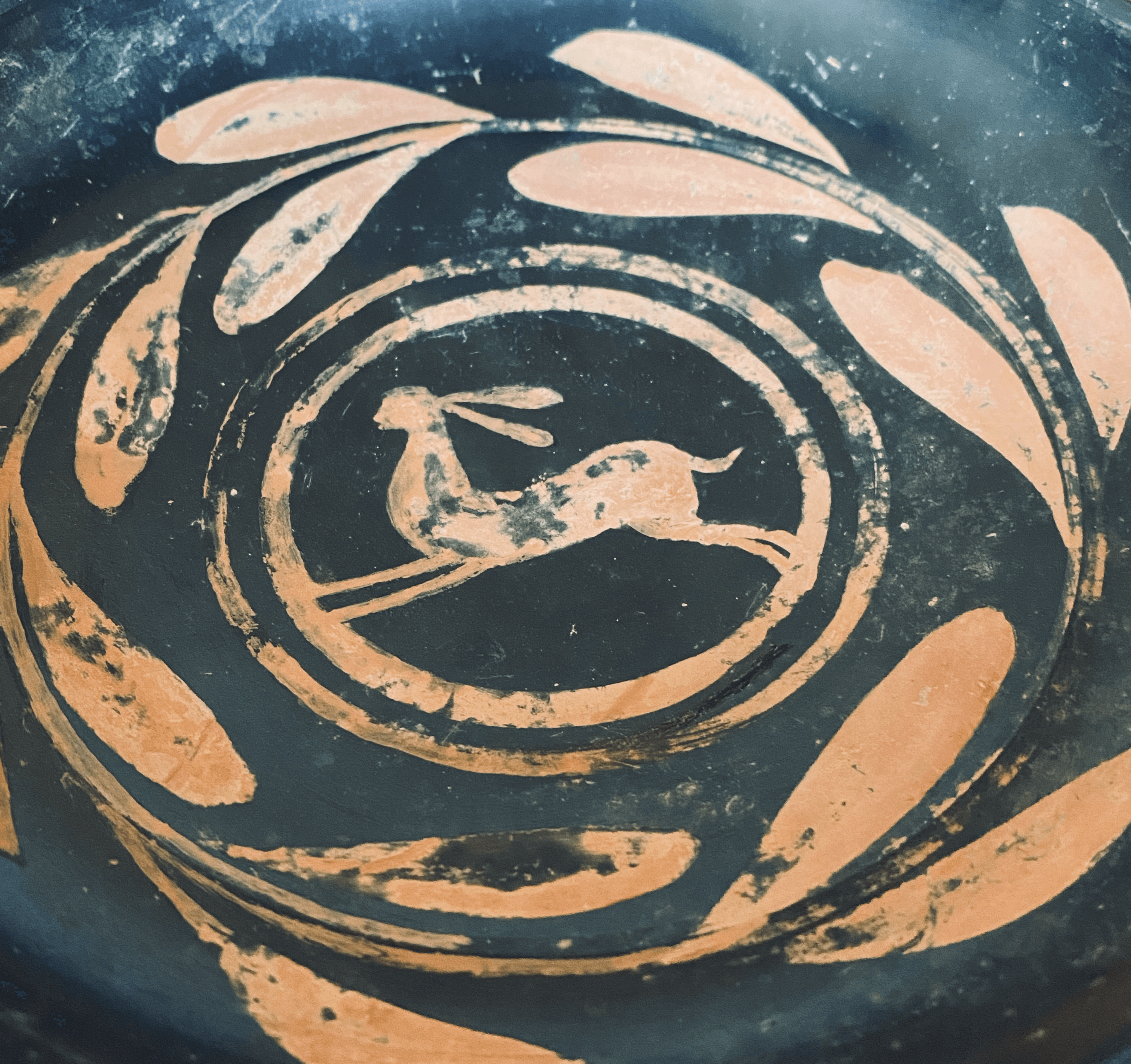 Greek Kylix with Hare and Laurel ca. 450 B.C.