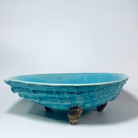 Holdcroft Majolica Seashells circa 1865