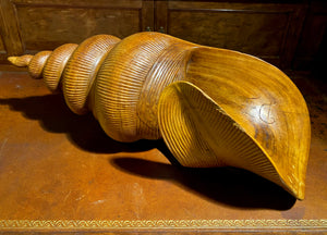 Monumental Carved Spiral Seashell by Ed