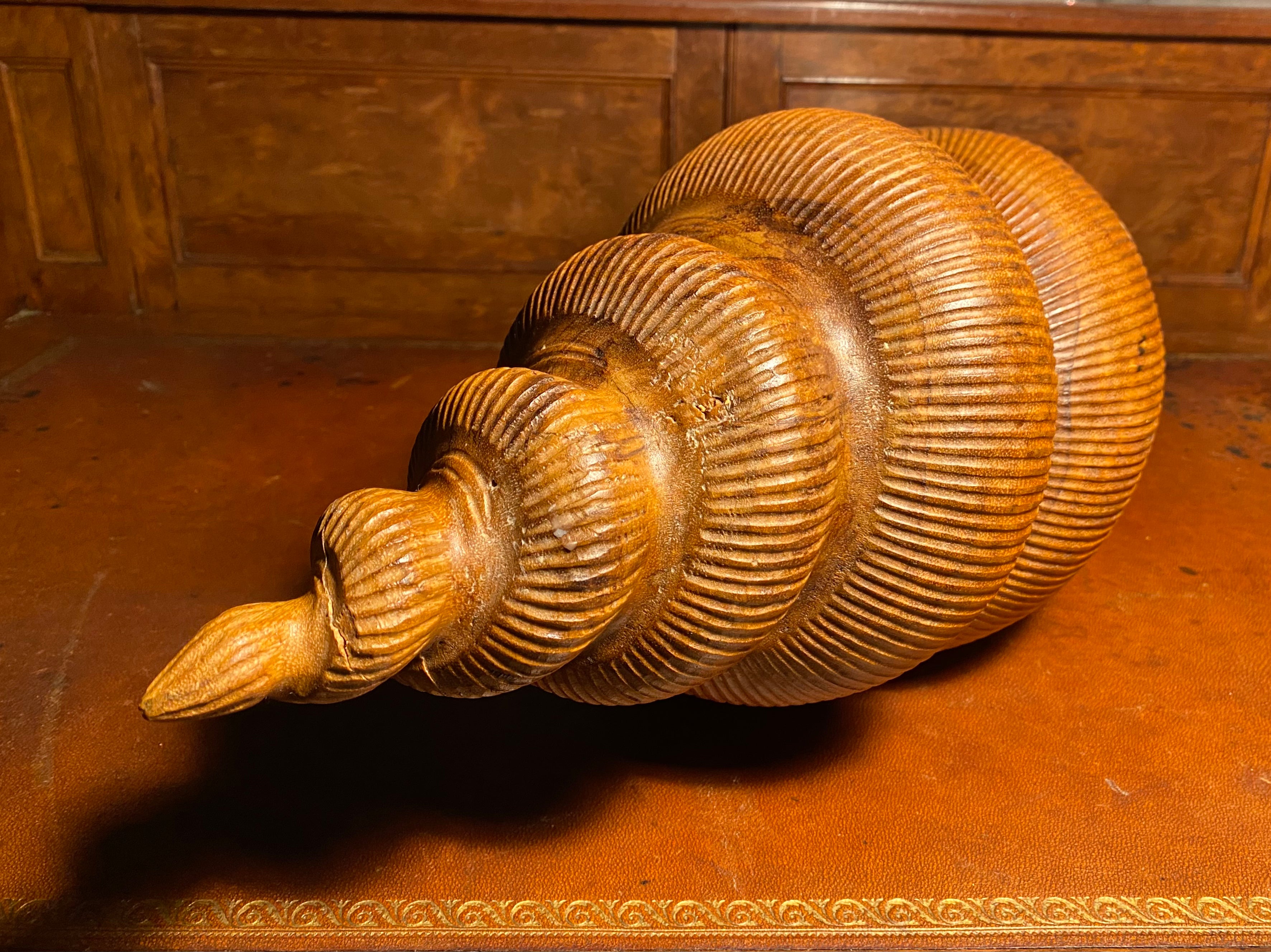 Monumental Carved Spiral Seashell by Ed